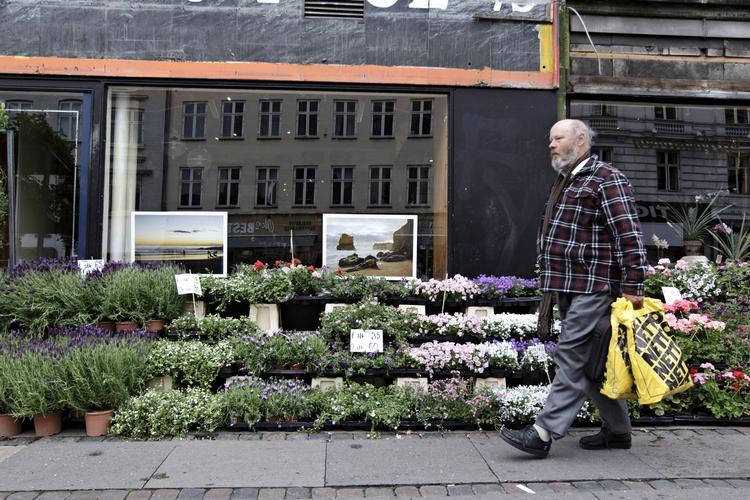 Flor.Hos blomsterhandleren på Vesterbrogade 61 spiller storladne surf- og strandmotiver sammen med tilbud på lavendler og geranium. 