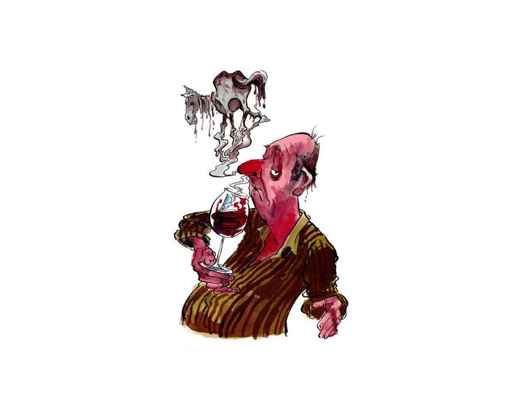 Vindefekter. Ikke alle vin er uden fejl. Politikens vinanmelder Thomas Ilkjær fortæller om de fem mest almindelige defekter, herunder smagen af hestesved. Tegning: Roald Als 