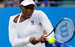 comeback. I to en halv time måtte Venus Williams svinge ketsjeren, inden hun havde besejret tyske Andrea Petkovic. 