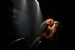 Bristolband. Beth Gibbons optrådte sammen med resten af Portishead på Roskilde Festival i 1998. Nu kommer de tilbage. 