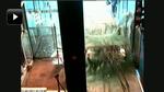 webtv: Her bliver Illum angrebet af en rambuk-bil