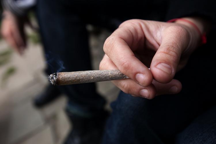 Snedigt. Pot-producenter i Florida tjerner gode penge, men metoderne er farlige. 