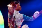 gallery_enlarged-prince-arras-france-07122010-15