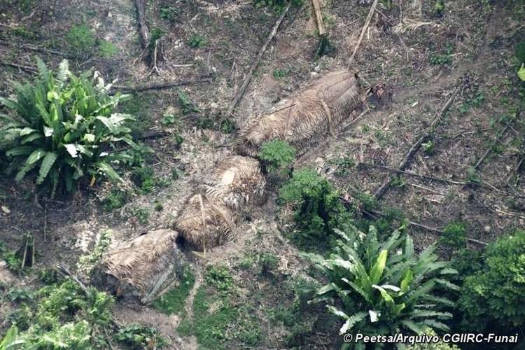 Isoleret. De stråtækte hytter, som danner hjemsted for en ukontaktet gruppe i den brasilianske jungle. 
