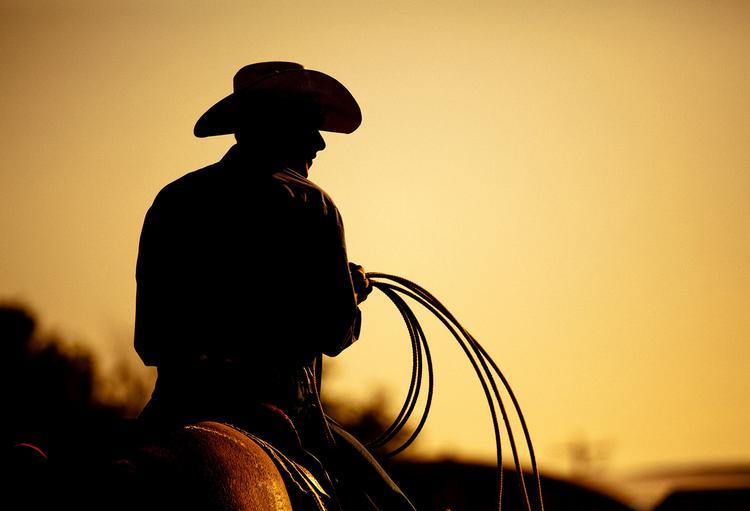 udkant. Annie Proulx har en særlig evne til at skildre mennesker langt væk fra magten og moderniteten. 