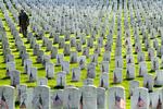 Kaos. Resterne af otte lig er blevet fundet i den samme grav på Arlington National Cemetary ved Washington D.C. 