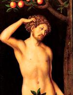 Stridspunktet. Lucas Cranach den Ældres to malerier af Adam og Eva (fra ca. 1530) var nogle af de mest værdifulde værker i den hollandske kunstsamler Jacques Goudstikkers samling. Se maleriet i en større version nederst. 