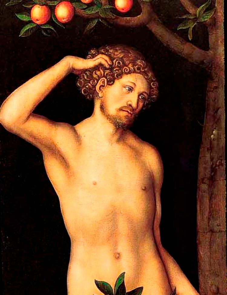Stridspunktet. Lucas Cranach den Ældres to malerier af Adam og Eva (fra ca. 1530) var nogle af de mest værdifulde værker i den hollandske kunstsamler Jacques Goudstikkers samling. Se maleriet i en større version nederst. 