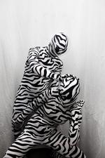 "De vilde zebraer," har købt det meste af dragterner over nettet fra USA, resten har de lavet selv. 