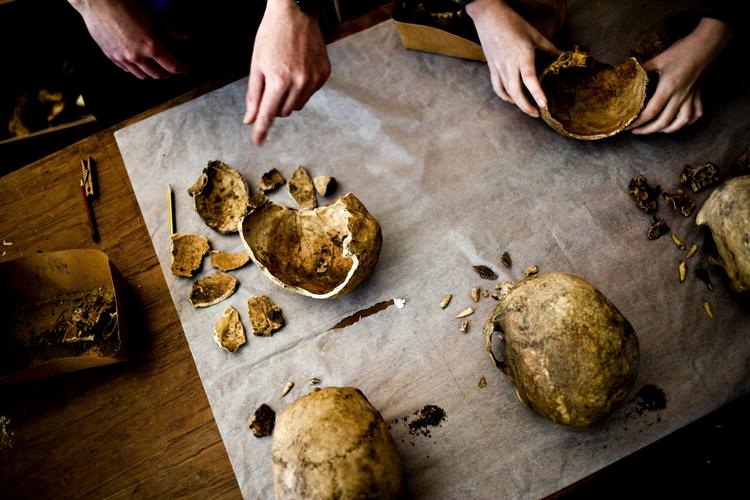 På Medicinsk-Historisk Museum er Daniel Noesgaard og Nina Bjerglund Andersen med til at tørre kranier og knogler, som har været under vand i forbindelse med den store oversvømmelse. 