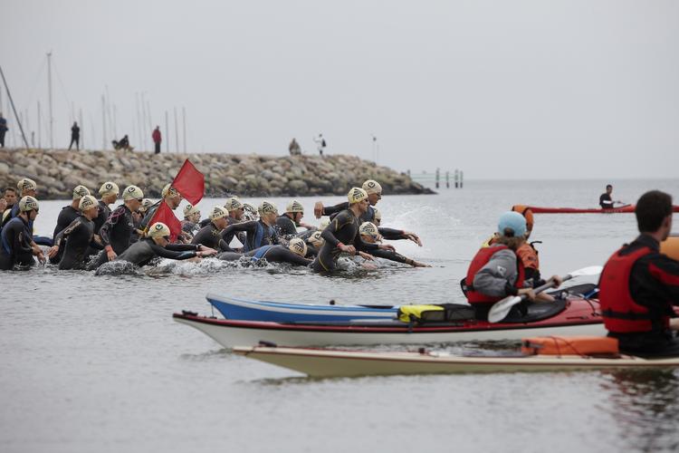 DØDSFALD. Her går pro-starten til Challenge Aarhus. En time senere kollapsede en deltager i det 13 grader varme vand og døde senere på Skejby Sygehus. 