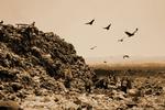 Skraldekunst. 'Waste Land' portrætterer  'skraldefolket' i Brasilien i et integreret kunstnerisk og socialt projekt. 