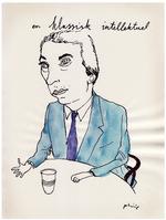 Debattør. »Jeg er ikke imod Europa. Slet ikke. Jeg tror blot, at jeg har raffineret synspunktet, siger Morten Messerschmidt«. Tegning: Philip Ytournel. 