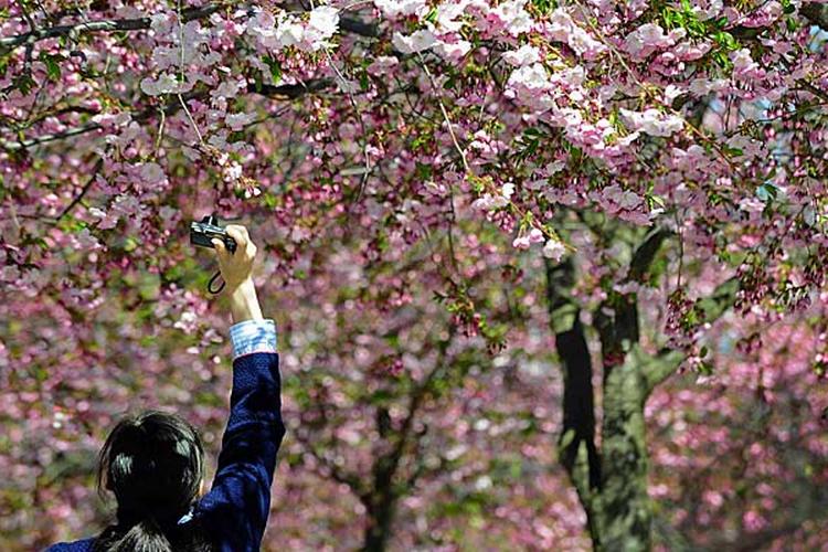 Kungsträdgården_Stockholm_web_ANDERS WIKLUND_AP