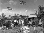 Idyl. Folk i udlandet forstår sjældent helt konceptet omkring Danmarks små kolonihaver. Et sommerhus i byen giver bare ikke umiddelbart mening, så det er bestemt værd at hive turisterne med en tur i kolonihaveland. Som eksempelvis her i en af Kløvermarkens mange små paradishaver. Her er vi i 1953, men de eksisterer stadig i bedste velgående. 