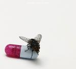 Pebret. Red Hot Chilli Peppers nye album, cover lavet af Damien Hirst. 