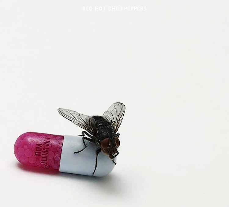 Pebret. Red Hot Chilli Peppers nye album, cover lavet af Damien Hirst. 
