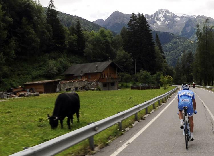 Arbejdsbetingelser. Denne unavngivne rytter slap bedre fra nedkørslen på gårsdagens etape af Brixia Tour og de vilde okser end den 20-årige Martin Lind. 