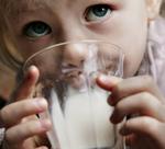 Uskyldig. For de fleste  børn betyder det, at de drikker komælk, ikke noget for, hvor ofte de rammes af mellem- ørebetændelse.  Arkivfoto: Thomas Borberg 
