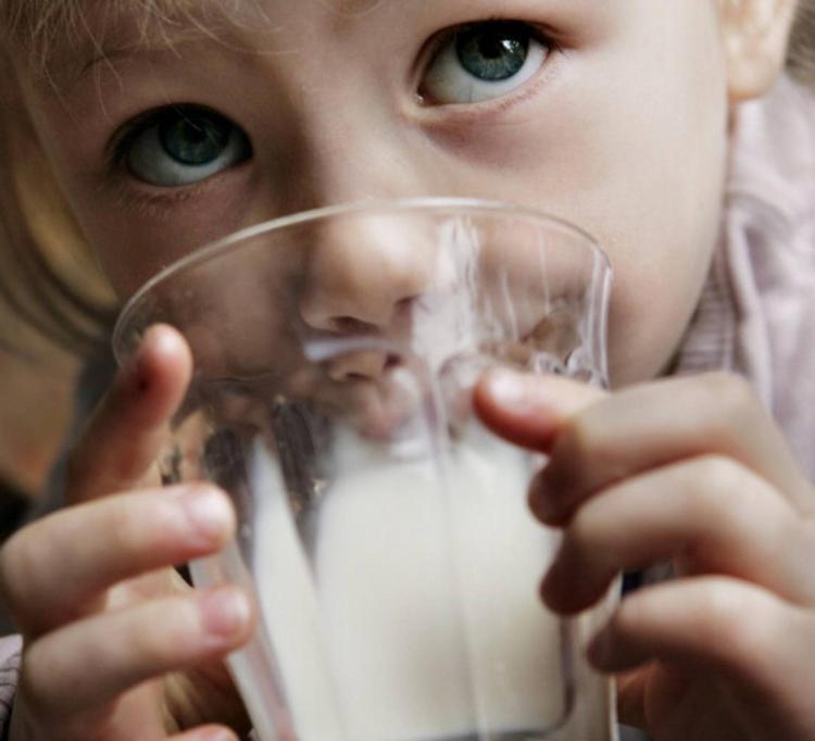 Uskyldig. For de fleste  børn betyder det, at de drikker komælk, ikke noget for, hvor ofte de rammes af mellem- ørebetændelse.  Arkivfoto: Thomas Borberg 