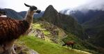 Lykketræf. Ved et tilfælde fandt Hiram Bingham Machu Picchu. I dag er det 100 år siden. 