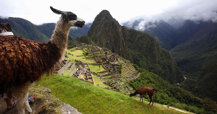 Lykketræf. Ved et tilfælde fandt Hiram Bingham Machu Picchu. I dag er det 100 år siden. 