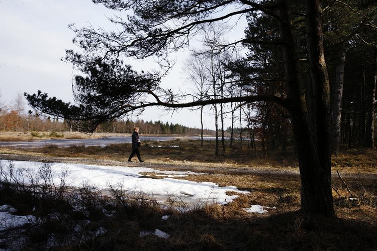 Demonstranterne tog opstilling i plantagen i fredags, fordi de vil forhindre opførelsen af et testcenter for kæmpevindmøller i området.Etableringen af testcentret kræver, at der fældes træer. 