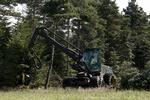 Ballade. 266 hektar skov i Østerild Klitplantage i Thy skal fældes for at give plads til et omstridt testcenter for syv kæmpevindmøller på op til 250 meters højde. 