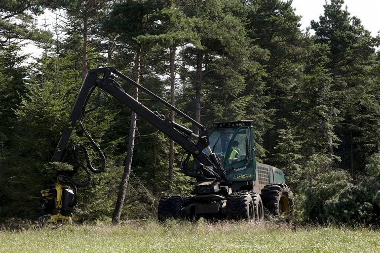 Ballade. 266 hektar skov i Østerild Klitplantage i Thy skal fældes for at give plads til et omstridt testcenter for syv kæmpevindmøller på op til 250 meters højde. 