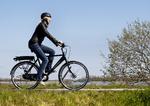 Elcyklerne er kommet for at blive, mener cykelhandlerne, der forventer at sælge 18.000 af slagsen i år (arkivfoto). 