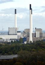 Amagerv_rket_29-07-2011_N4C8HJ7.jpg
