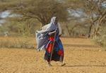 Gold. En ældre kvinde traver afsted i nærheden af byen Dadaab i Kenya i dag. Både her, men især i Somalia kræver tørken flere og flere ofre. 