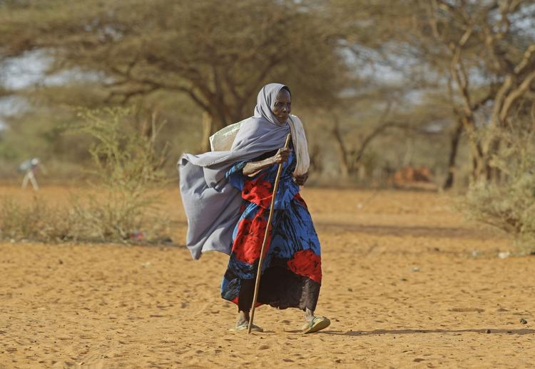 Gold. En ældre kvinde traver afsted i nærheden af byen Dadaab i Kenya i dag. Både her, men især i Somalia kræver tørken flere og flere ofre. 