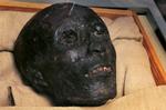 Mumier. Mumier har igennem mange år fungeret som ulovlige samlerobjekter, men nu er smuglerringen bag blevet afsløret. Her ses den mumificerede Tutankhamon. 