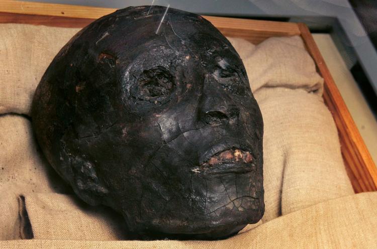 Mumier. Mumier har igennem mange år fungeret som ulovlige samlerobjekter, men nu er smuglerringen bag blevet afsløret. Her ses den mumificerede Tutankhamon. 