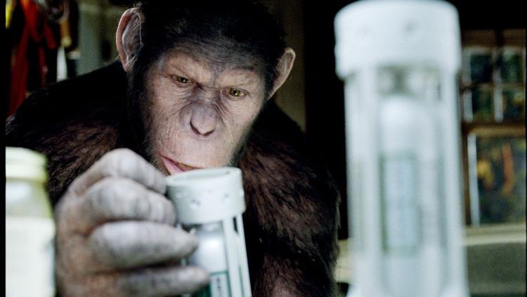 Dyrisk. Visual effects-holdet bag Avatar har skabt en CGI-abe, som udtrykker følelse og intelligens. Det er Andy Serkis, der også spillede Gollum i Ringenes Herre-sagaen, som levendegør chimpansen. 