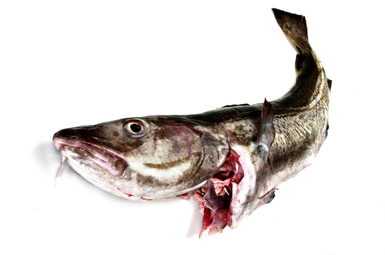 NYTÅR. Torsken er for mange den ultimative nytårsmad. I år er der tilpas mange, så der skulle være nok til alle, lyder meldingen fra fiskeribranchen. 