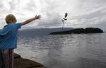 sorg. En dreng smider en rose i vandet ud for øen Utøya. 