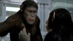 ABEFEST. Cæsar, hvis fænomenale mimik skyldes skuespilleren Andy Serkis, opfordrer sine artsfæller til revolte på internatet. 
