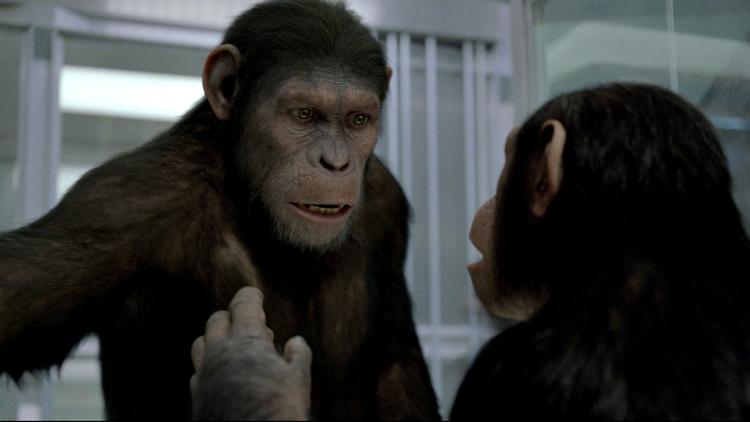 ABEFEST. Cæsar, hvis fænomenale mimik skyldes skuespilleren Andy Serkis, opfordrer sine artsfæller til revolte på internatet. 