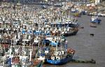 Varsling. De kinesiske fiskekuttere er blevet kaldt i havn inden tyfonen Muifa rammer. 