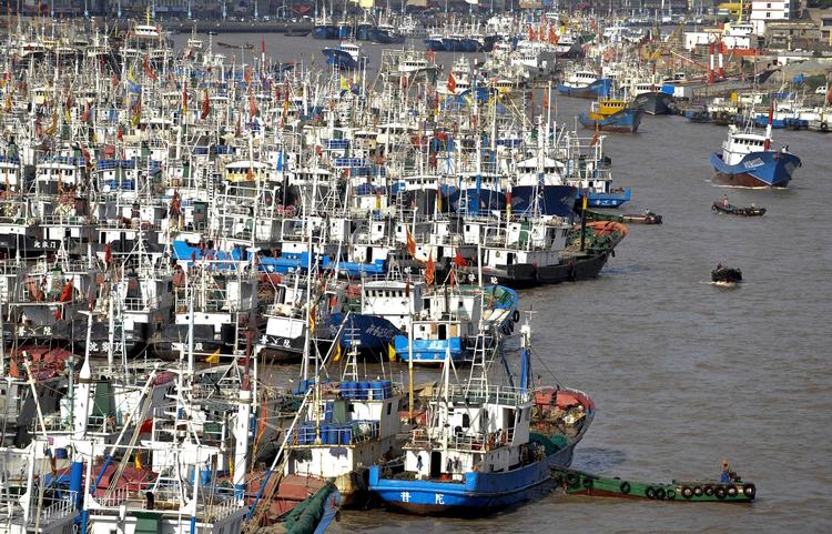 Varsling. De kinesiske fiskekuttere er blevet kaldt i havn inden tyfonen Muifa rammer. 