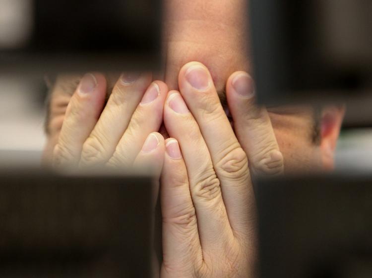 nedtur. En børsmægler tager sig til hovedet på Børsen i Frankfurt. 