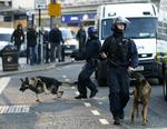 POLITIINDSATS. Politiet har haft mere end svært ved at genvinde kontrollen over de bydele, der er ramt af optøjer. Betjente med hunde i Birmingham. 