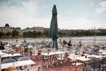 Grønt. Man kan næppe skyde skylden  på Kaffesalonen, for at Peblinge Sø for tiden er plaget af vandpest. 