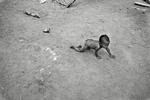 Krise. Politiken rapporterede for nylig fra lejrene i den kenyanske by Dadaab. 