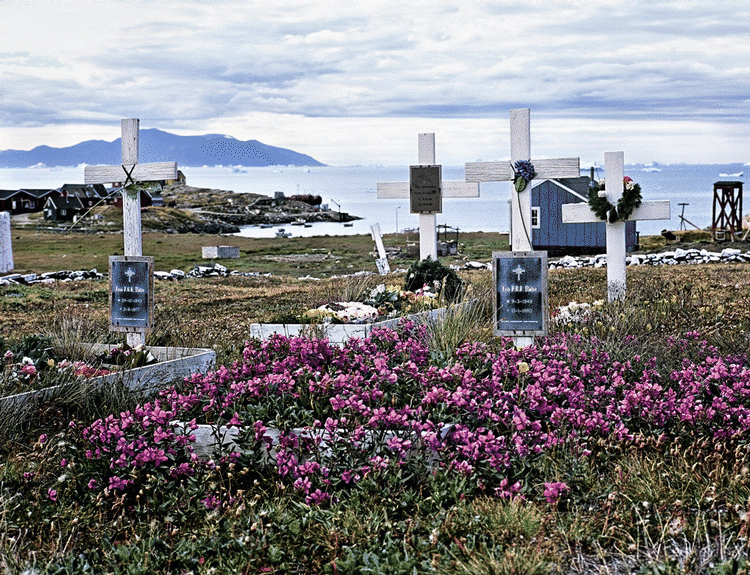 NÆS. De døde forbliver side om side med de levende på det 'halvstore næs'  – Nuugaatsiaq.  Foto fra bogen: Lone van Deurs 
