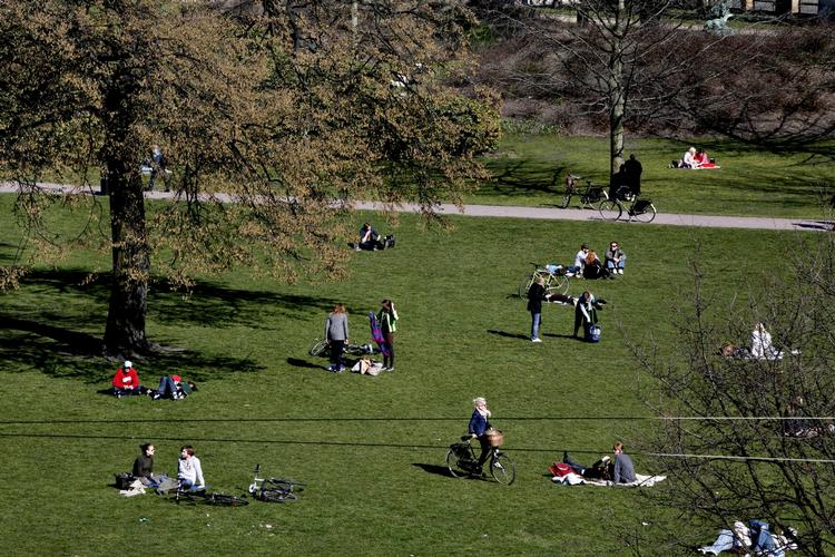 e-bogs-net. Som et forsøg, der muligvis skal gøres permanent, kommer der trådløst internet i Kongens Have. Meningen er, at internetforbindelsen skal fungerer som reklame for e-bøger. 