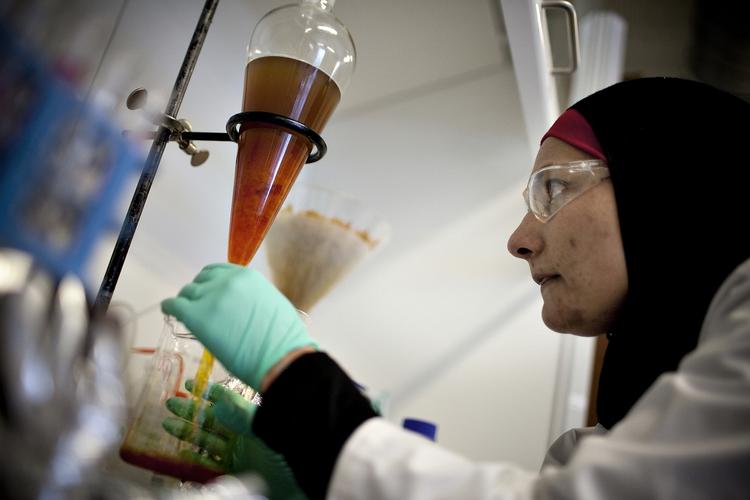 Forskerinde. Rime Bahij El-Houri, der forsker i naturstofkemi på Syddansk Universitet, er en af de forskere, som Danmark godt kunne bruge flere af, mener Det Frie Forskningsråd. 