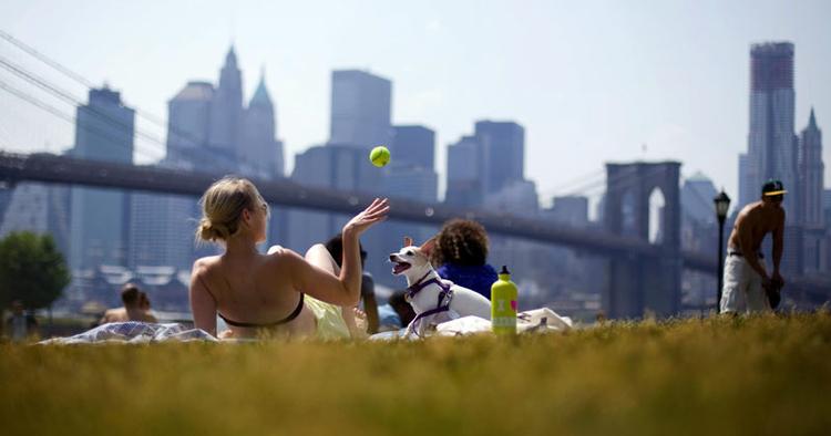 Lavprisruter-til-NY_Brookly